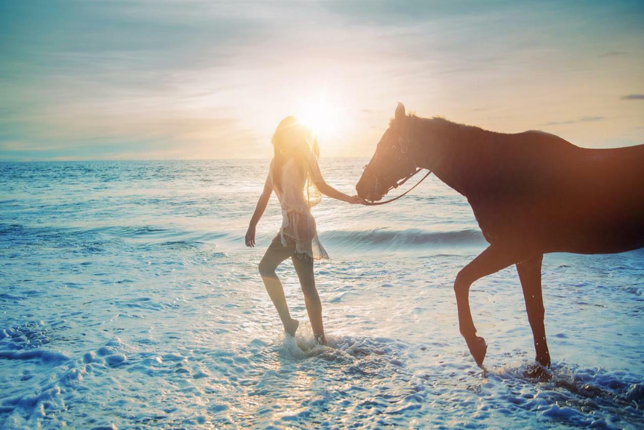 Pg - Beach House ซินตรา ภายนอก รูปภาพ